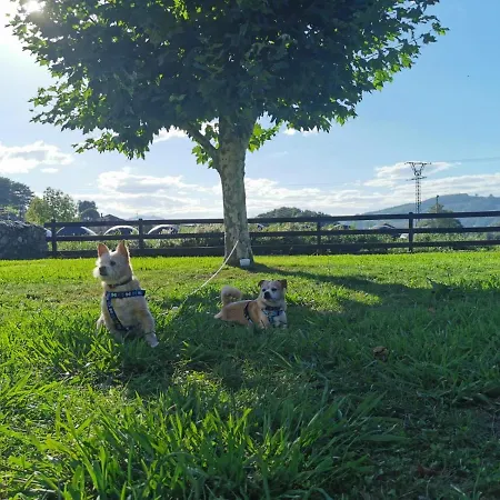 El Espesedo De Cabarceno, Cocina Compartida, Mascotas Son Bienvenidas Country house *